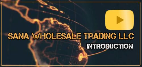 play-sanafilm play-sanafilm